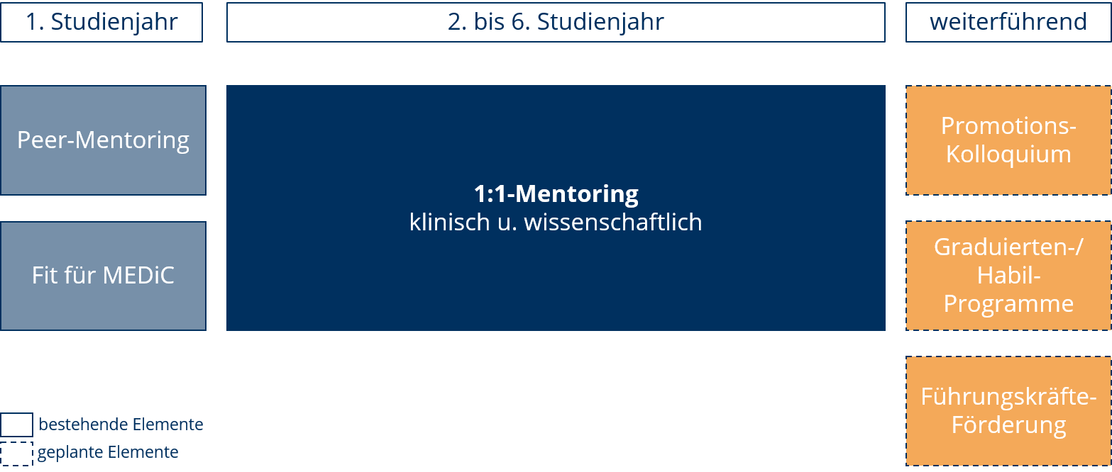 Ablauf 1:1 MEDiC-Mentoring